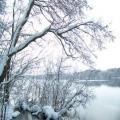 Winterblick aus Senzig (tn_100_4102.jpg) Zeesner See im Landkreis Dahme Spreewald